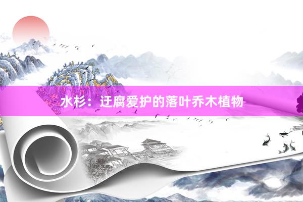 水杉：迂腐爱护的落叶乔木植物