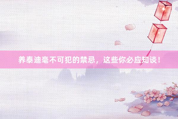 养泰迪毫不可犯的禁忌，这些你必应知谈！