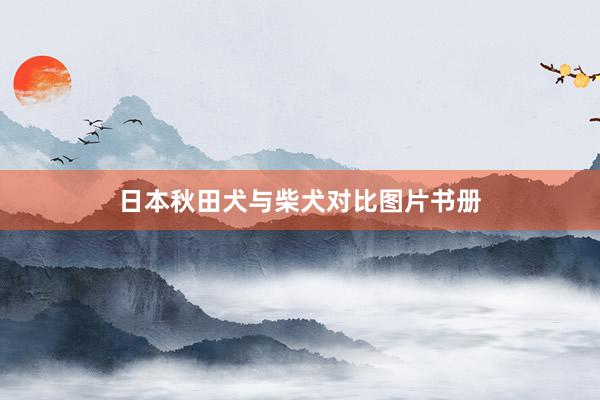 日本秋田犬与柴犬对比图片书册