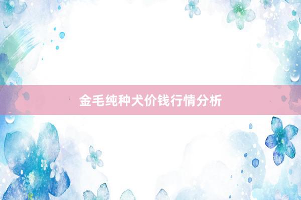 金毛纯种犬价钱行情分析