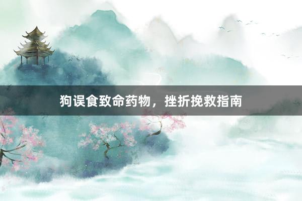 狗误食致命药物，挫折挽救指南